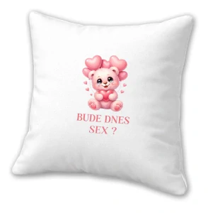 Polštář "Bude dnes sex"