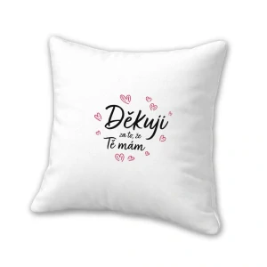 Polštář "Děkuju za to, že tě mám"